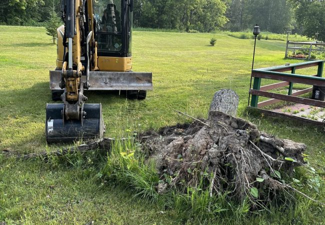 tree-removal-01